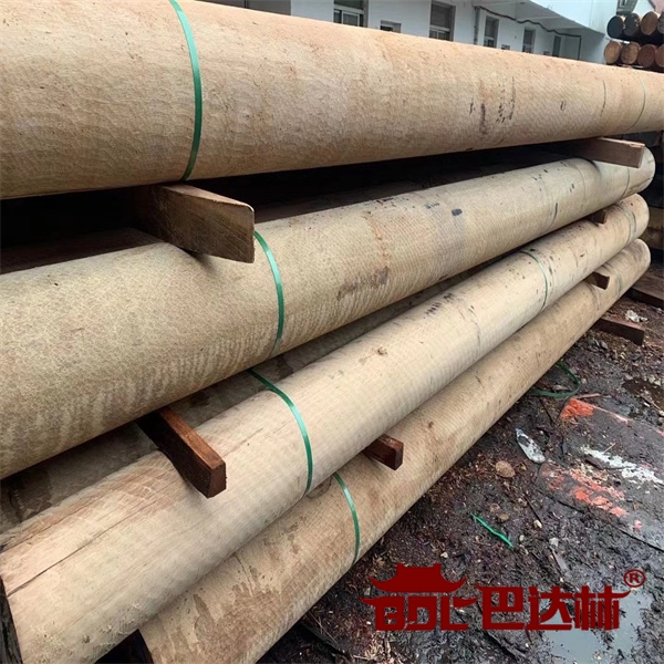 黃(huang)柳桉