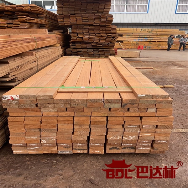 剛果菠蘿(luo)格