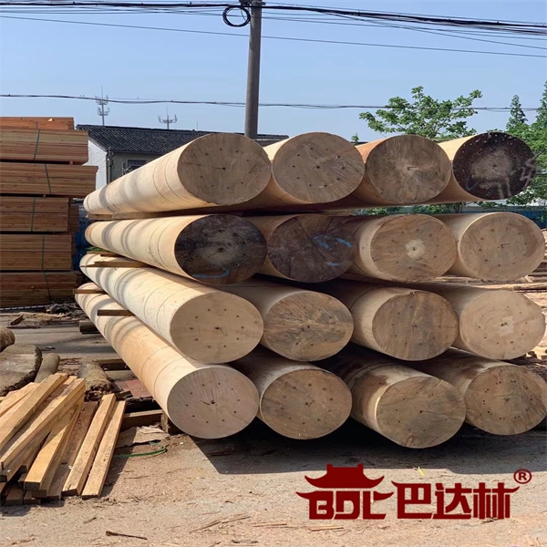 鐵(tie)杉木