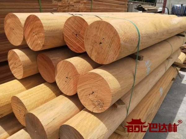 非洲菠蘿(luo)格