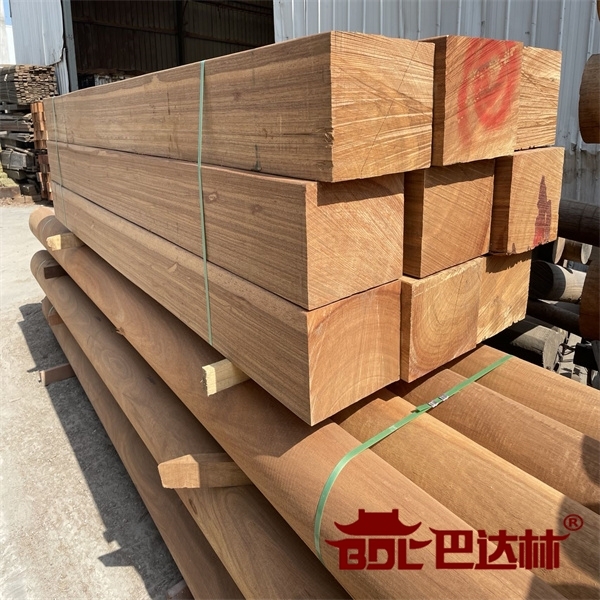 南美菠蘿(luo)格