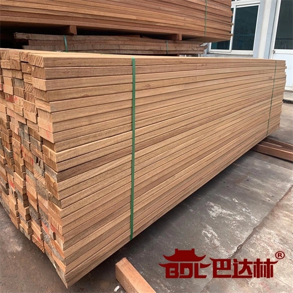南美菠蘿(luo)格