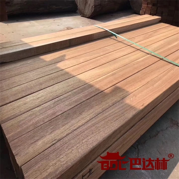 南美菠蘿(luo)格