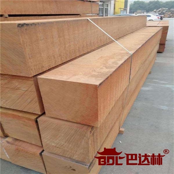 南美菠蘿(luo)格